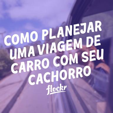 Como Planejar uma Viagem de Carro com Seu Cachorro
