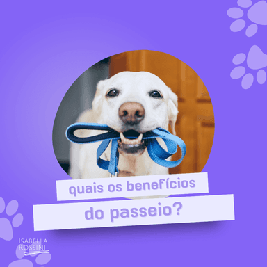 Quais os benefícios do passeio?