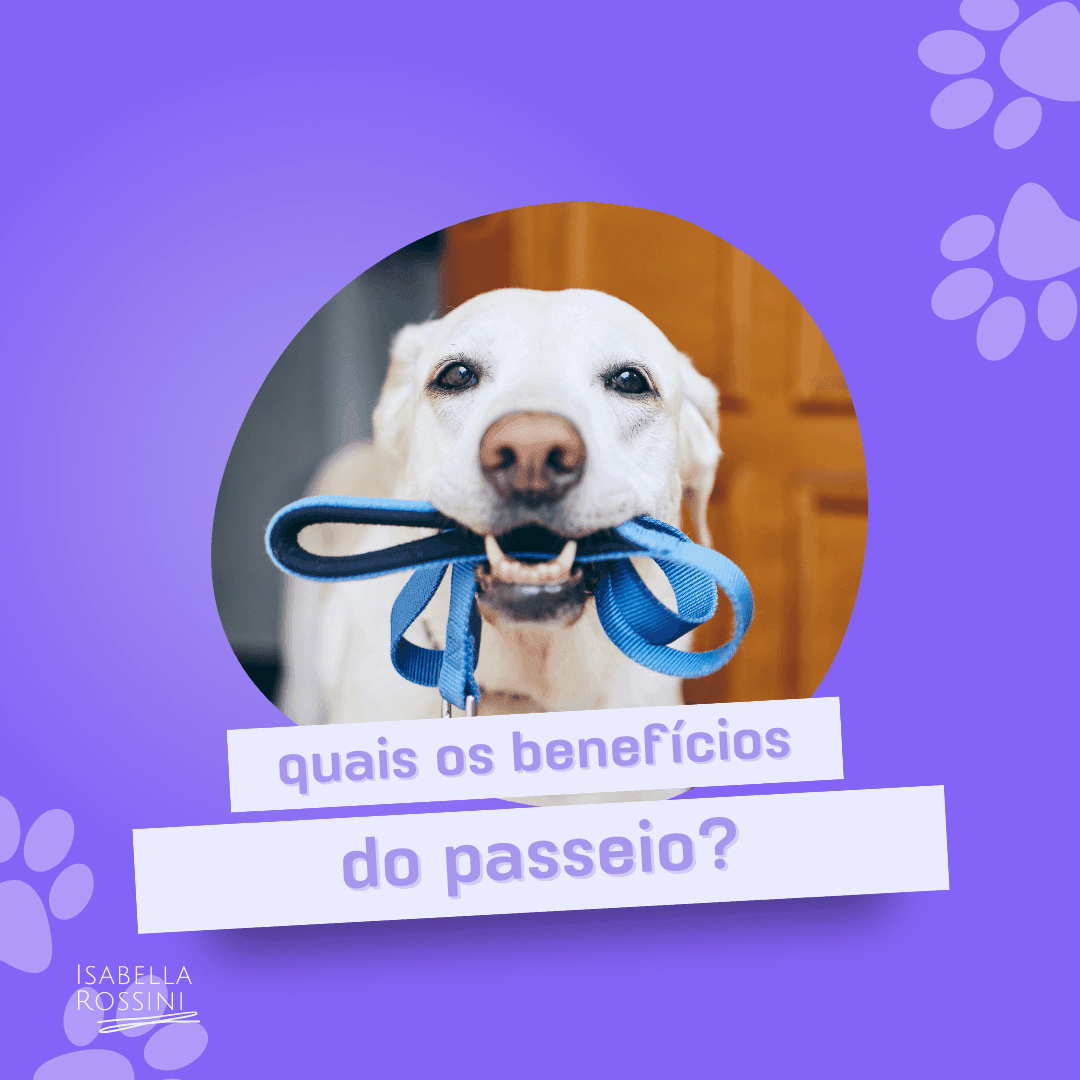 Quais os benefícios do passeio?