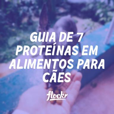 Guia de 7 Proteínas em Alimentos para Cães