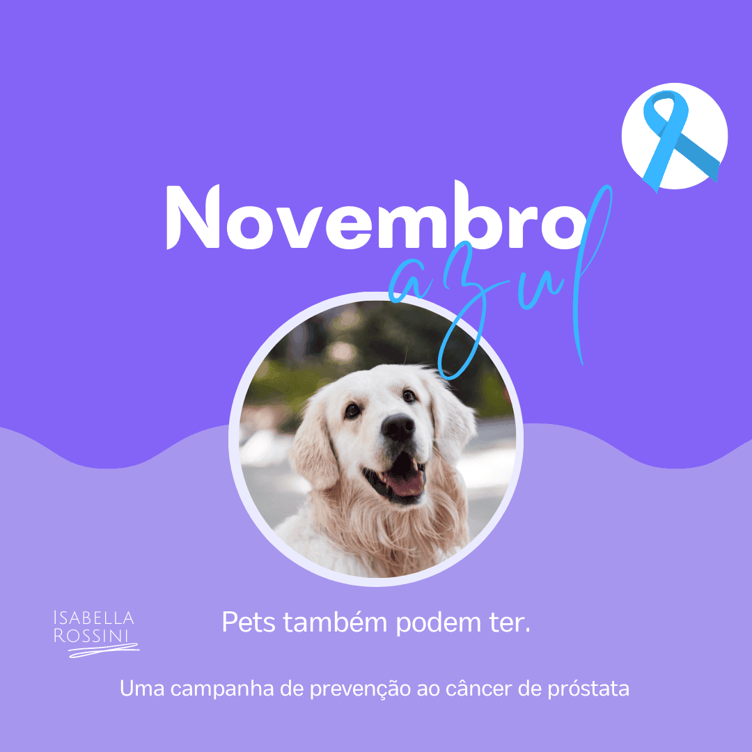 Câncer de próstata em animais – Novembro azul