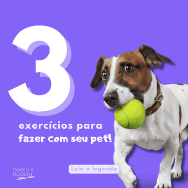 3 exercícios para fazer junto com seu pet