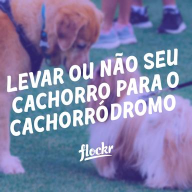 Levar ou não seu cachorro para o cachorródromo?