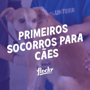 Primeiros Socorros para Cães