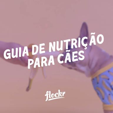 Guia de nutrição para cães