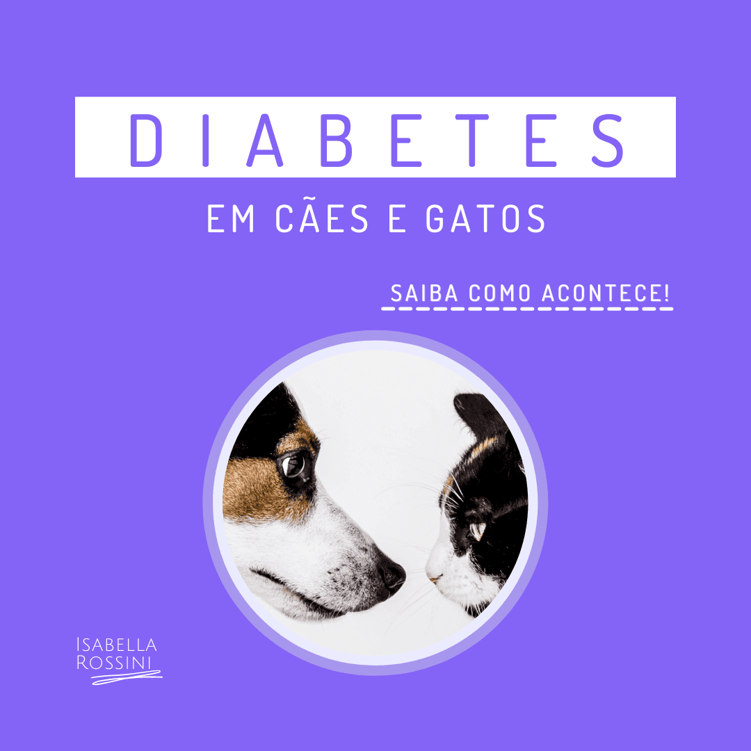 Animais também podem ter diabetes?