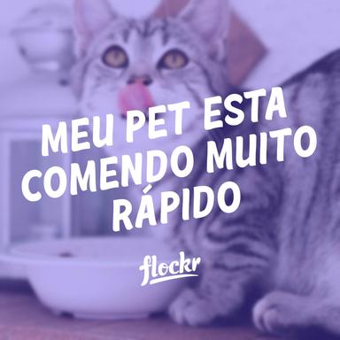 Meu pet esta comendo muito rápido