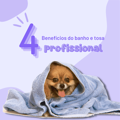 3 benefícios do banho e tosa com o profissional