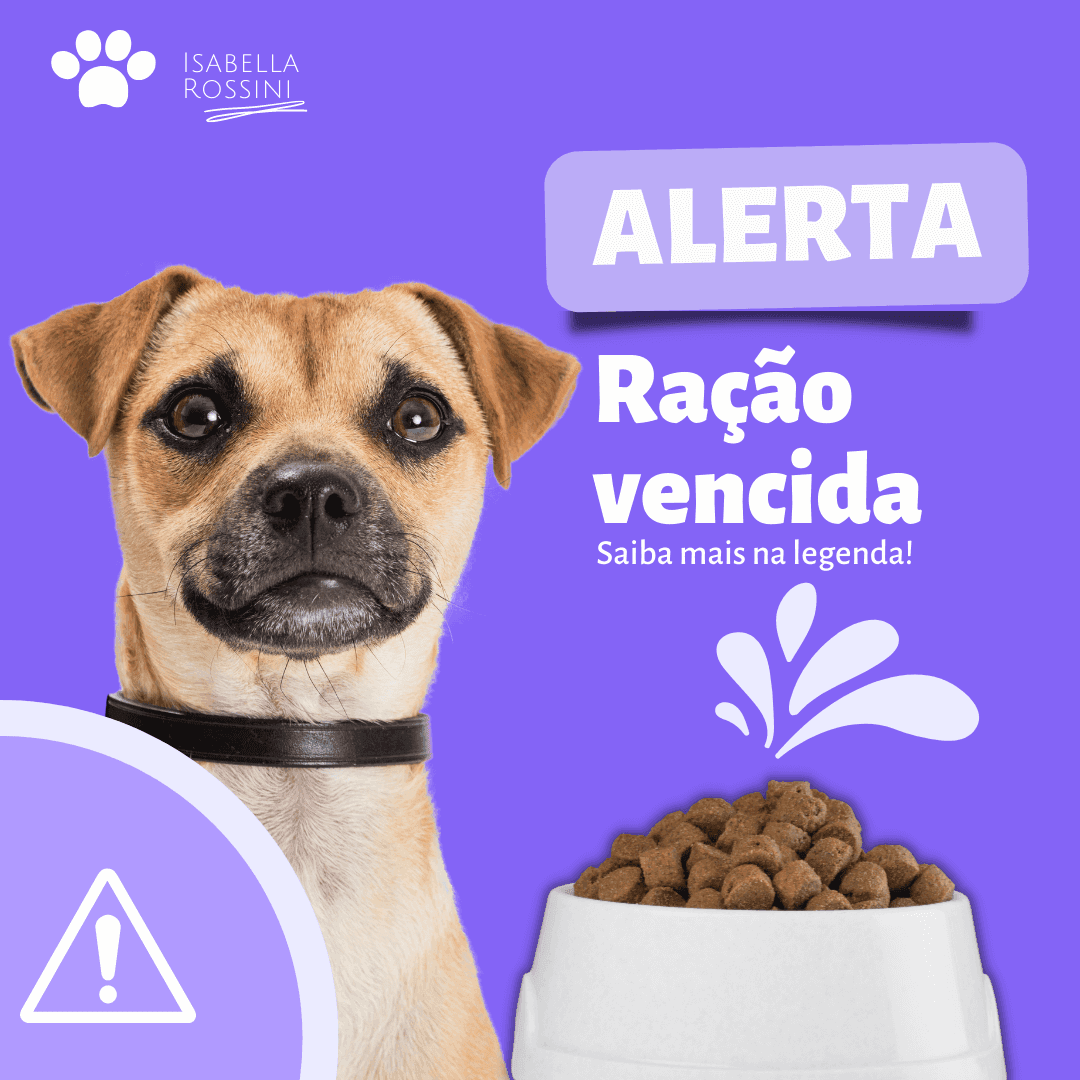 Ração vencida: quais os perigos?