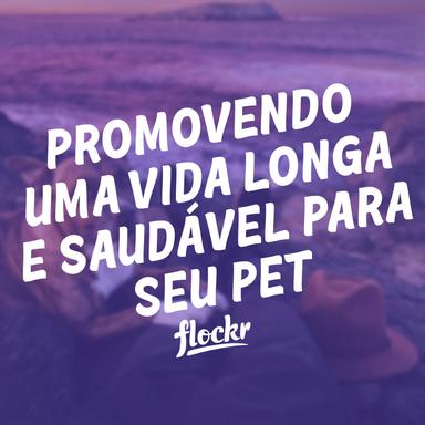 Longevidade dos Pets: Um Guia para Entender e Promover uma Vida Longa e Saudável