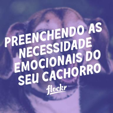Preenchendo as necessidade emocionais do seu cachorro: Cuidados Essenciais para o Bem-Estar Canino