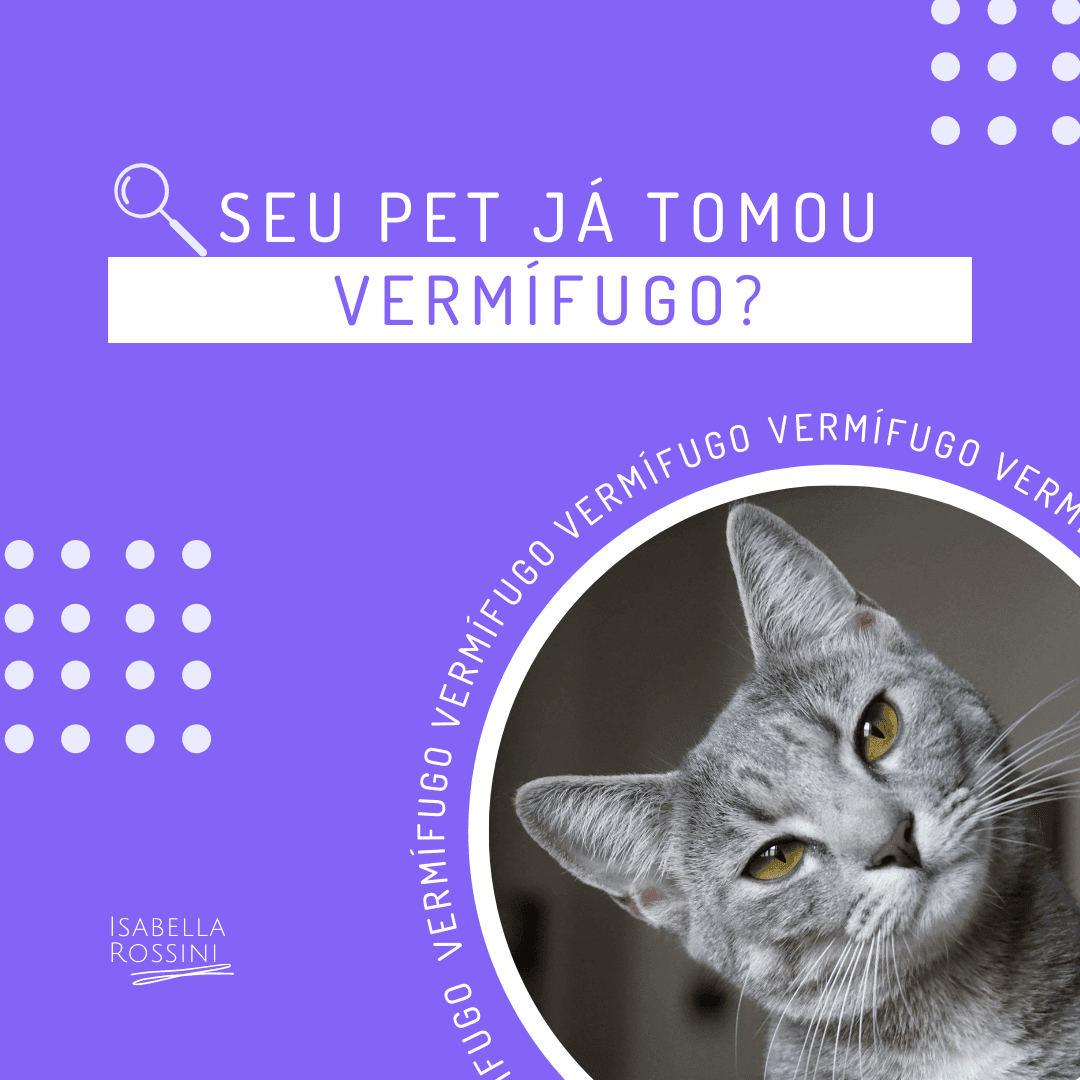 Seu pet já tomou vermífugo? Saiba a importância