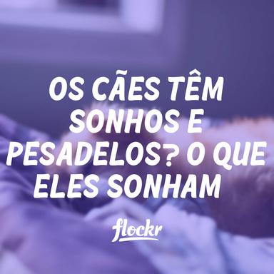 Os Cães Têm Sonhos e Pesadelos? O Que Eles Sonham?