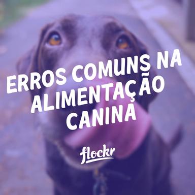 Erros Comuns na Alimentação Canina: Como Garantir uma Dieta Saudável para o seu Cão