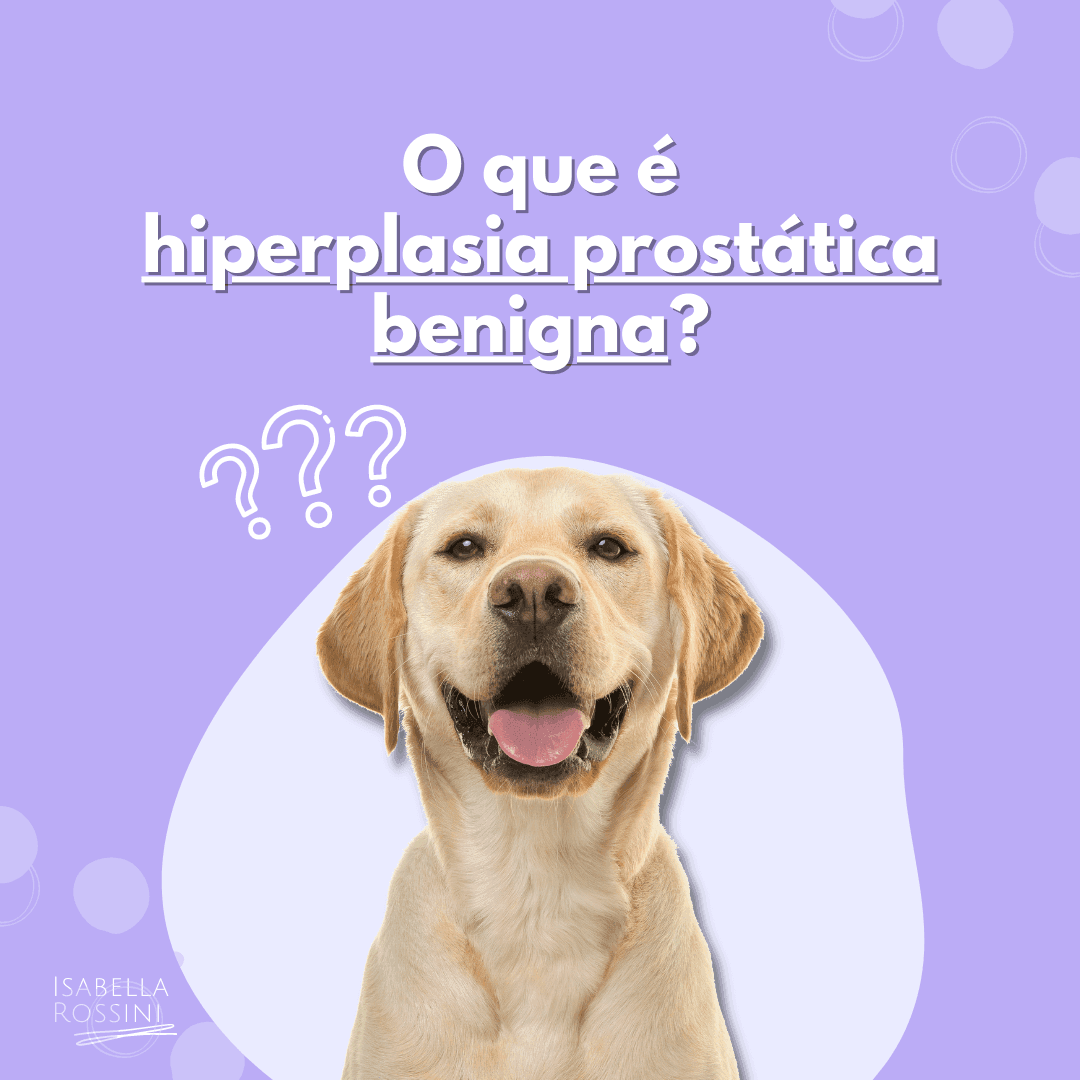 O que é hiperplasia prostática benigna?