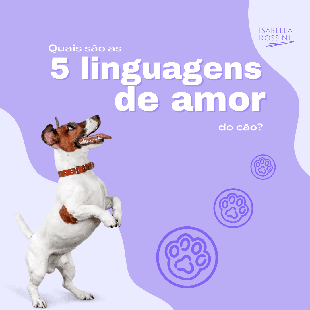 5 linguagens de amor do cão