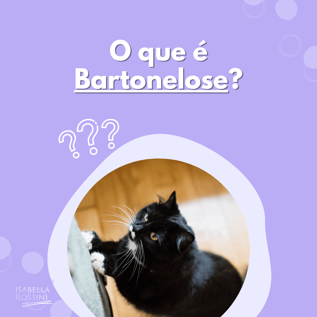 O que é Bartonelose?