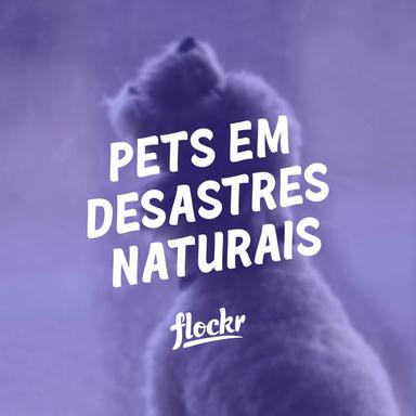 Pets em Desastres Naturais