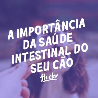 A Importância da Saúde Intestinal do Seu Cão