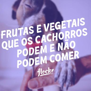 Frutas e Vegetais que os Cães Podem e Não Podem Comer