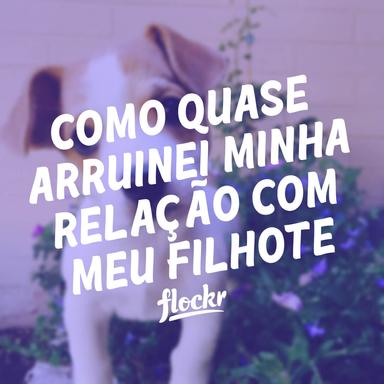 Como Quase Arruinei Minha Relação com Meu Filhote: Lições Aprendidas para uma Convivência Harmoniosa