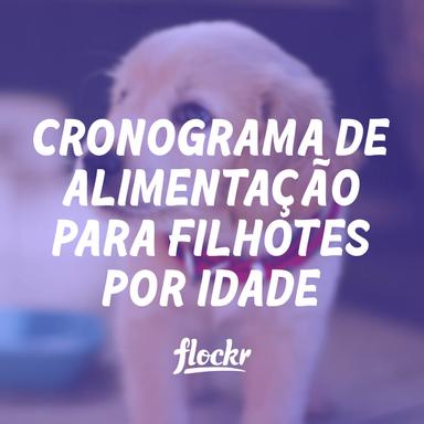Cronograma de Alimentação para Filhotes por Idade