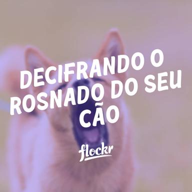 Decifrando o Rosnado do Seu Cão: Compreensão, Abordagem e Prevenção