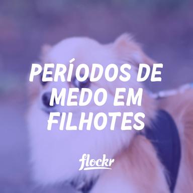 Períodos de Medo em Filhotes: Quando, Quanto Tempo Duram e 7 Dicas para Lidar