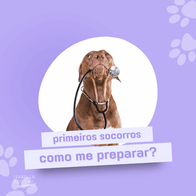 Primeiros Socorros para Pets