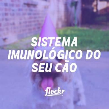 Sistema Imunológico do Seu Cão