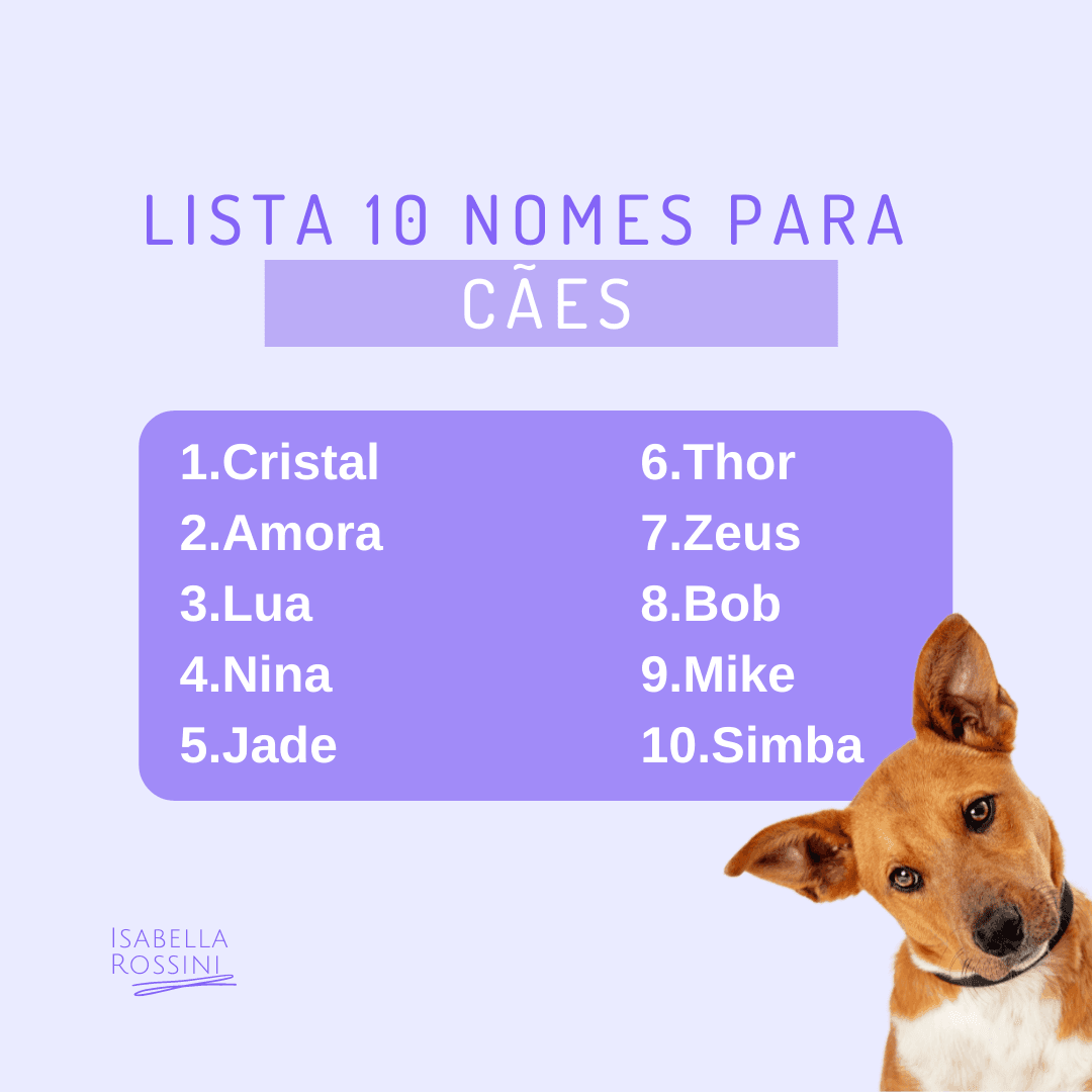 10 ideias de nomes para cães