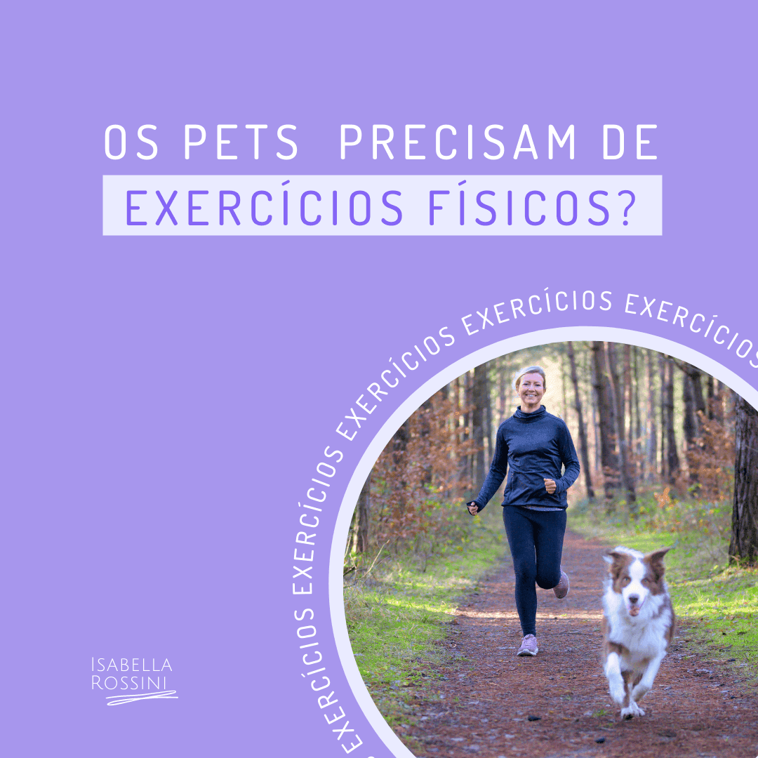 Os pets também precisam praticar exercícios físicos?