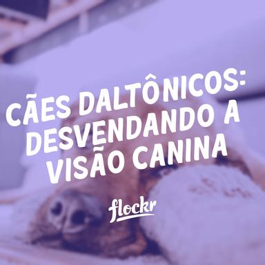 Cães Daltônicos: Desvendando a Visão Canina e Desmistificando Mitos