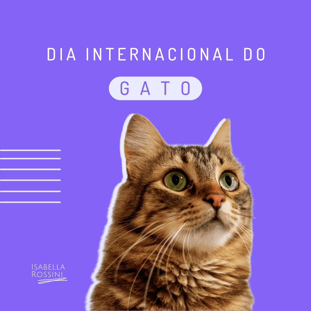 Dia internacional do gato